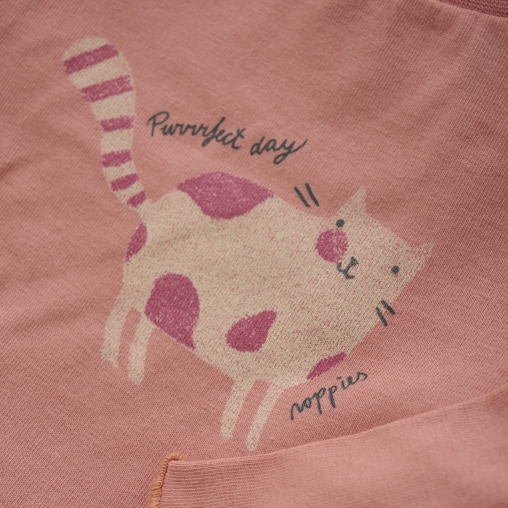 Noppies | T-shirt Telluride Longsleeve Canyon Clay