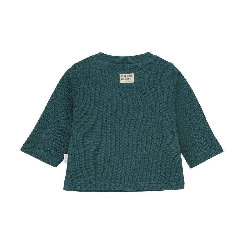 Noppies | T-shirt Boys Stafford Mediterranea