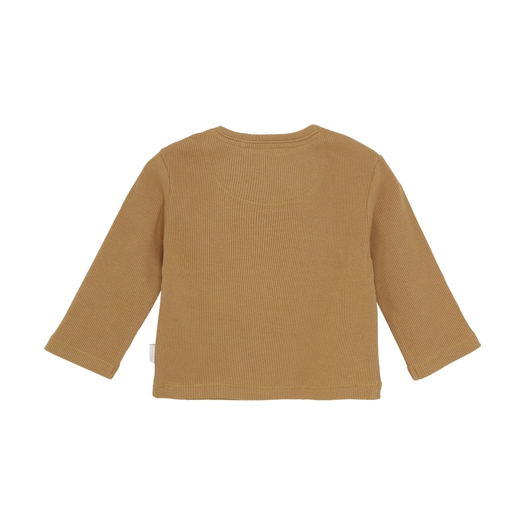 Noppies | T-shirt Boys Sherburn Longsleeve Biscuit