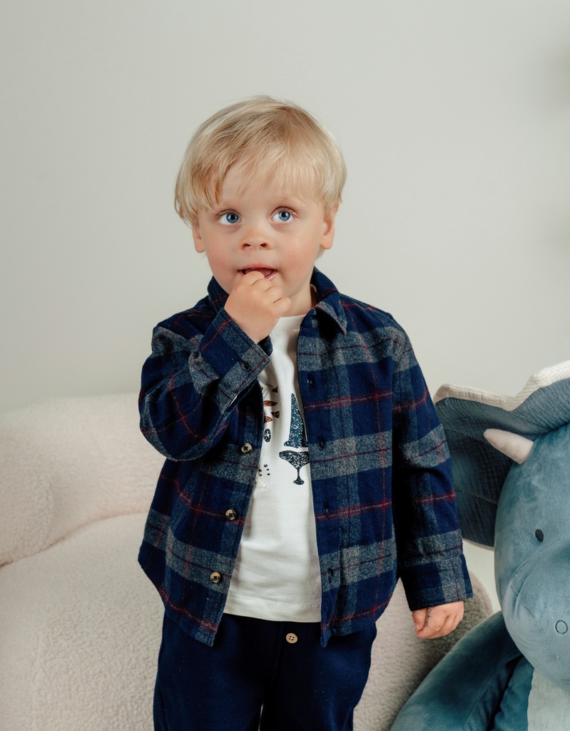 Noukies | Hemd Geruit Blauw