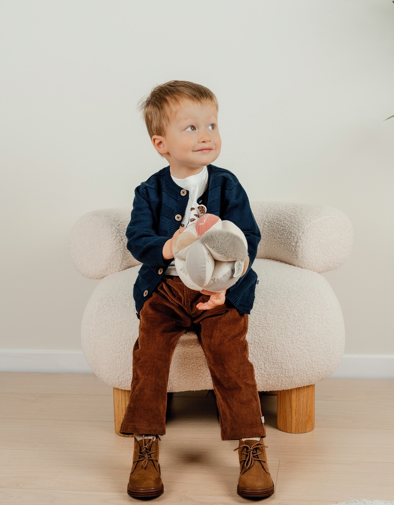 Noukies | Broek Crazy Tiger Corduroy Chocolat