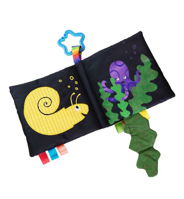 Clavis | Knisper boek klein wit visje 