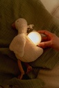Little Dutch | Slaapknuffel Little Goose Cuddle Goose Sound and Light