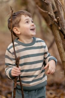 Little Dutch | Pull Boys Forest Friends Balsam Green Stripe