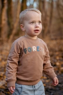 Little Dutch | Pull Boys Forest Friends Brown