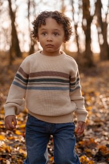 Little Dutch | Pull Boys Forest Friends Sand