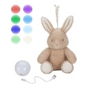Little Dutch | Slaapknuffel Cuddle Bunny Sound and Light