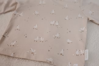 Little Dutch | T-shirt Little Goose Longsleeve Beige