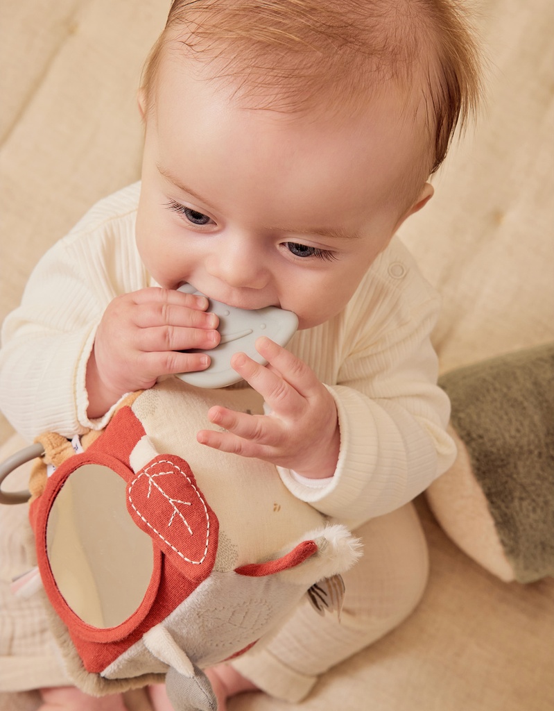 Noukies | Activiteitenkubus Fluffy, Orso & Lilly