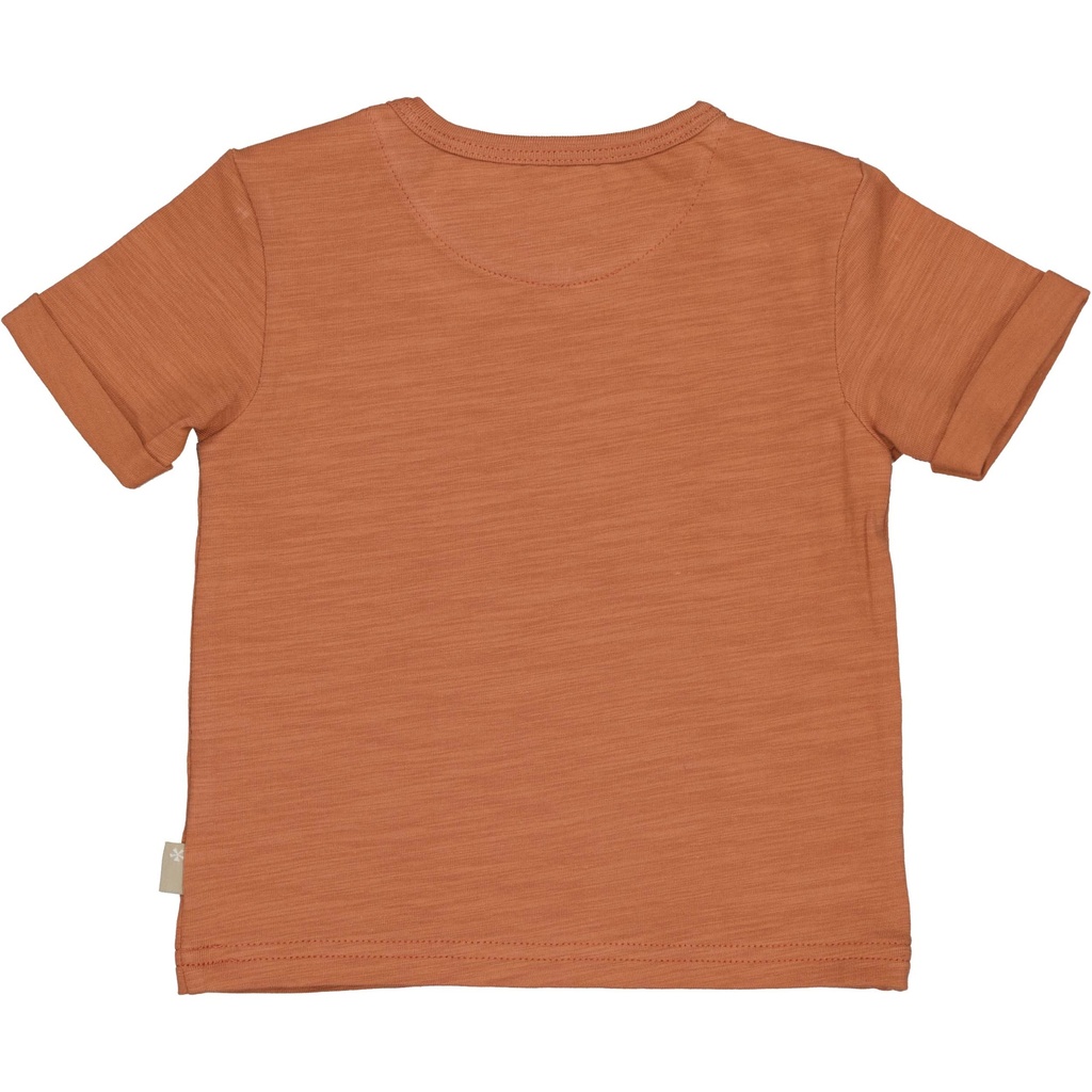 Bess | T-shirt Boys Striped Amber