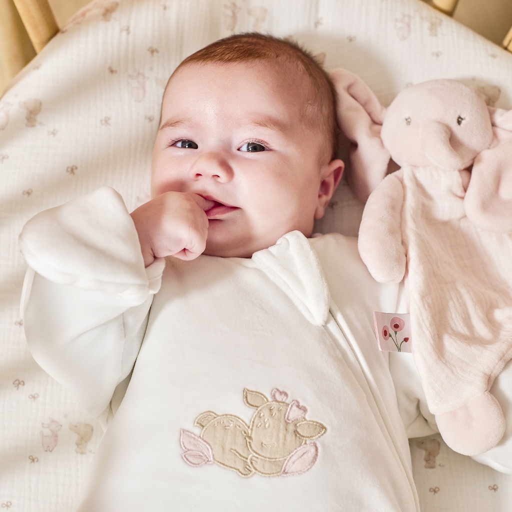 Nattou | Slaapzak Fanfan met Mouwen en Wanten Velours 2.5TOG 60cm