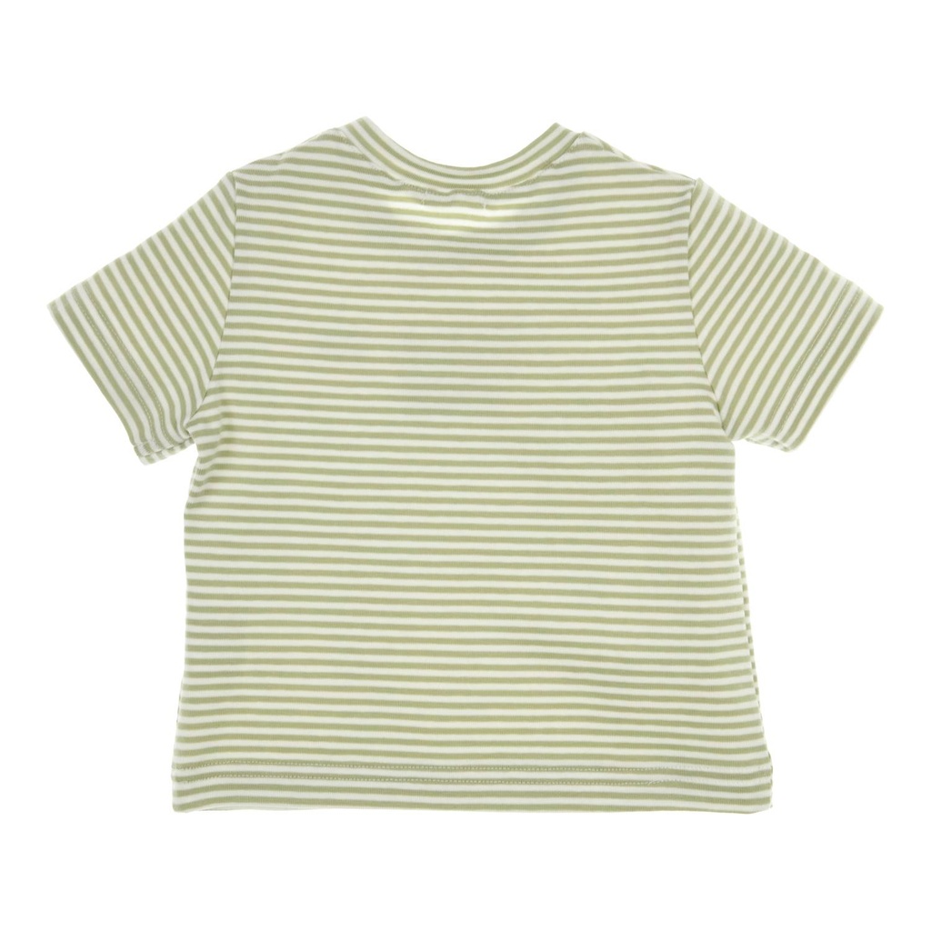 Gymp | T-shirt Boys Devon Green/White