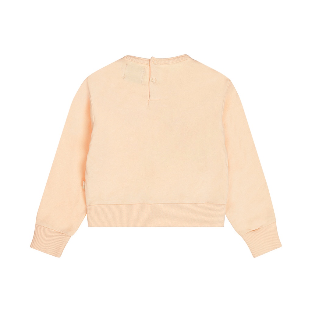 Dirkje | Sweater Girls Little Bee Peach