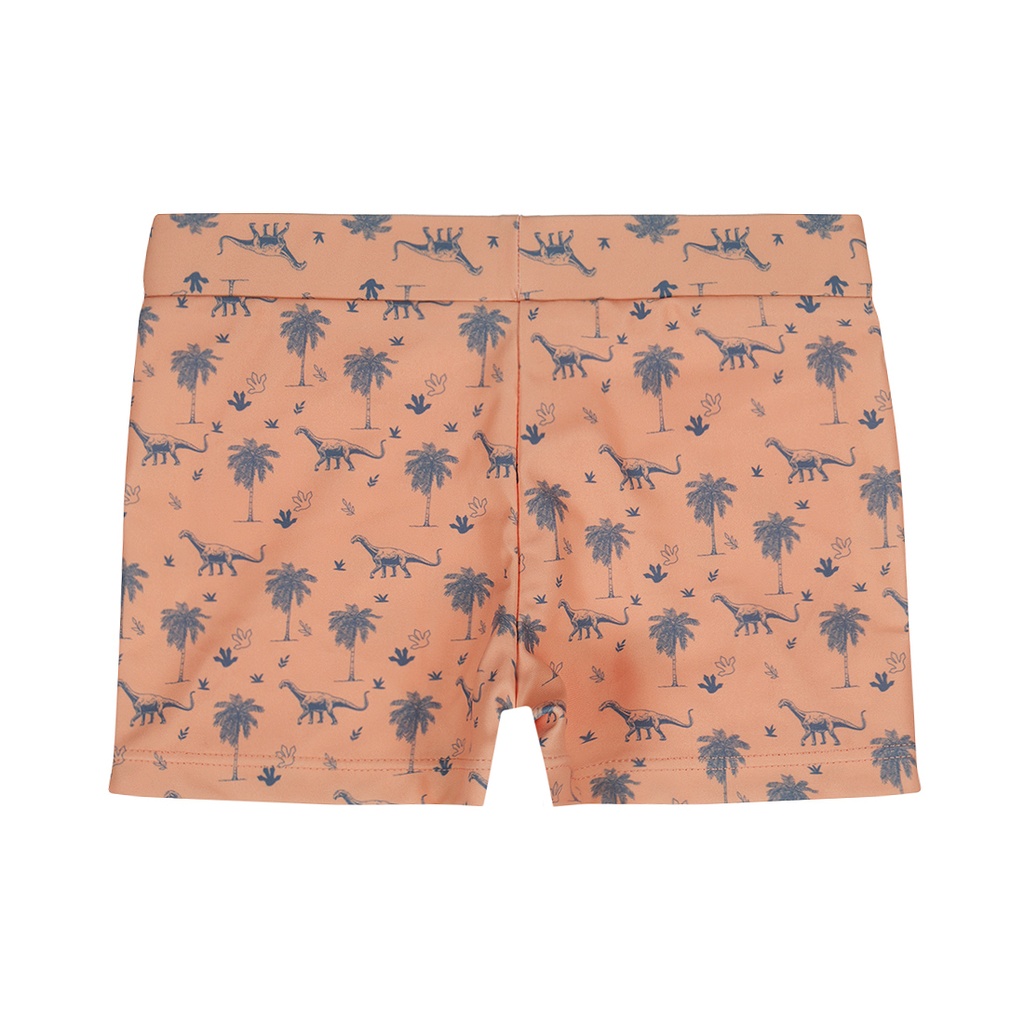 Dirkje | Zwemshort Boys Rock Coral
