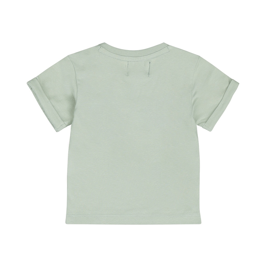 Dirkje | T-shirt Boys Santa Monica Soft Sage 