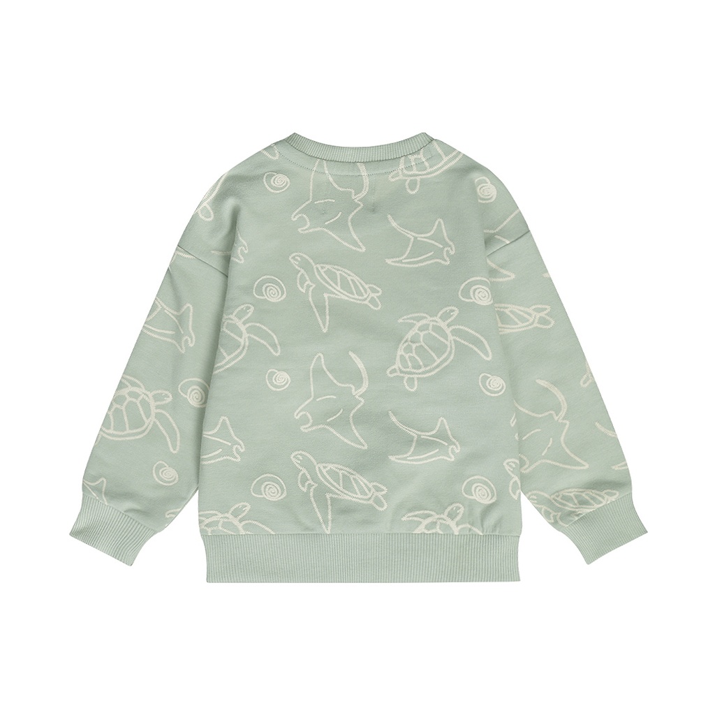Dirkje | Sweater Boys Santa Monica Soft Sage 
