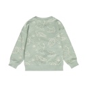 Dirkje | Sweater Boys Santa Monica Soft Sage 