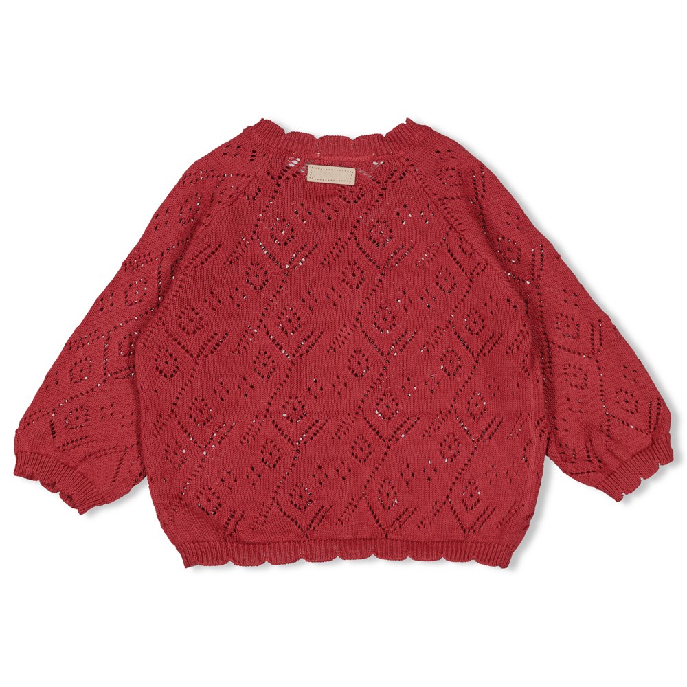 Feetje | Vest Girls Ladybug Berry