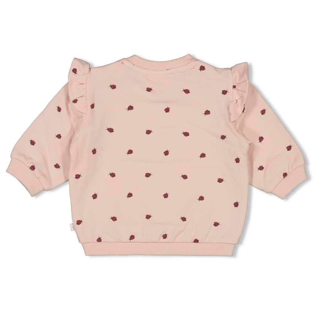 Feetje | Sweater Girls Ladybug Light Pink