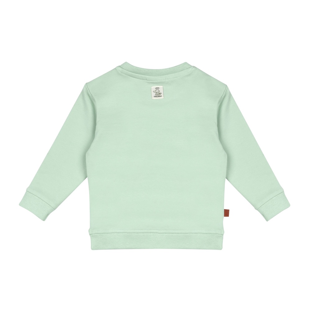 Frogs&Dogs | Sweater Boys Croco Amigo Subtle Green 