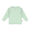 Frogs&Dogs | Sweater Boys Croco Amigo Subtle Green 
