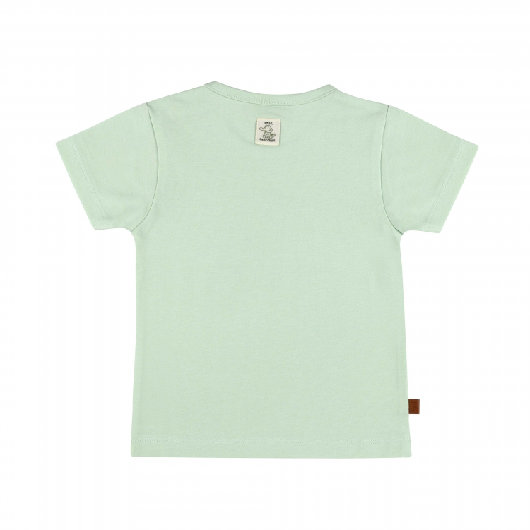 Frogs&Dogs | T-shirt Boys Croco Jungle Subtle Green 