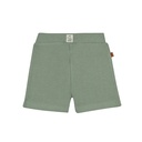 Frogs&Dogs | Short Boys Waffle Lily Pad