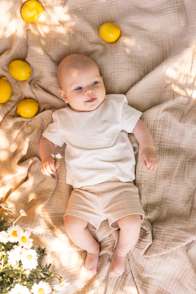 QPI | Short Uni Luca Taupe Stripe