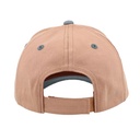 Maximo | Pet Camping Bus Blue/Braun 