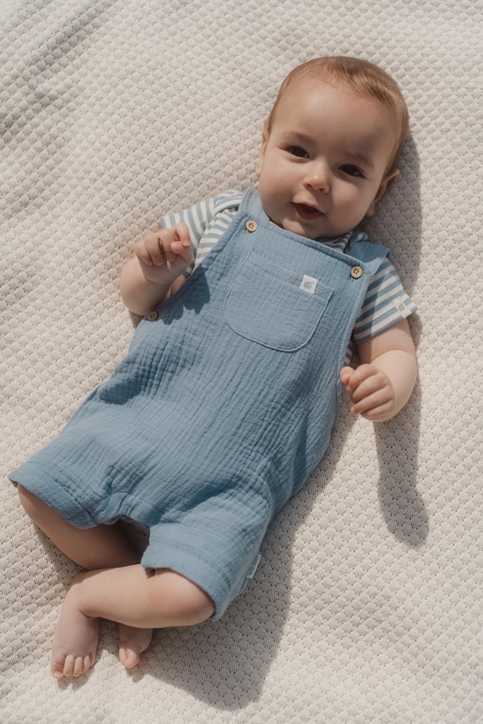 Little Dutch | Salopette Boys Forest Friends Stone Blue