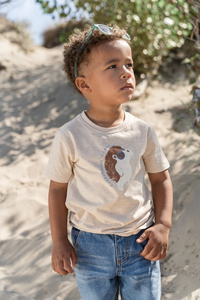 Little Dutch | T-shirt Boys Biscuit Melange