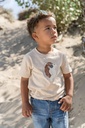 Little Dutch | T-shirt Boys Biscuit Melange