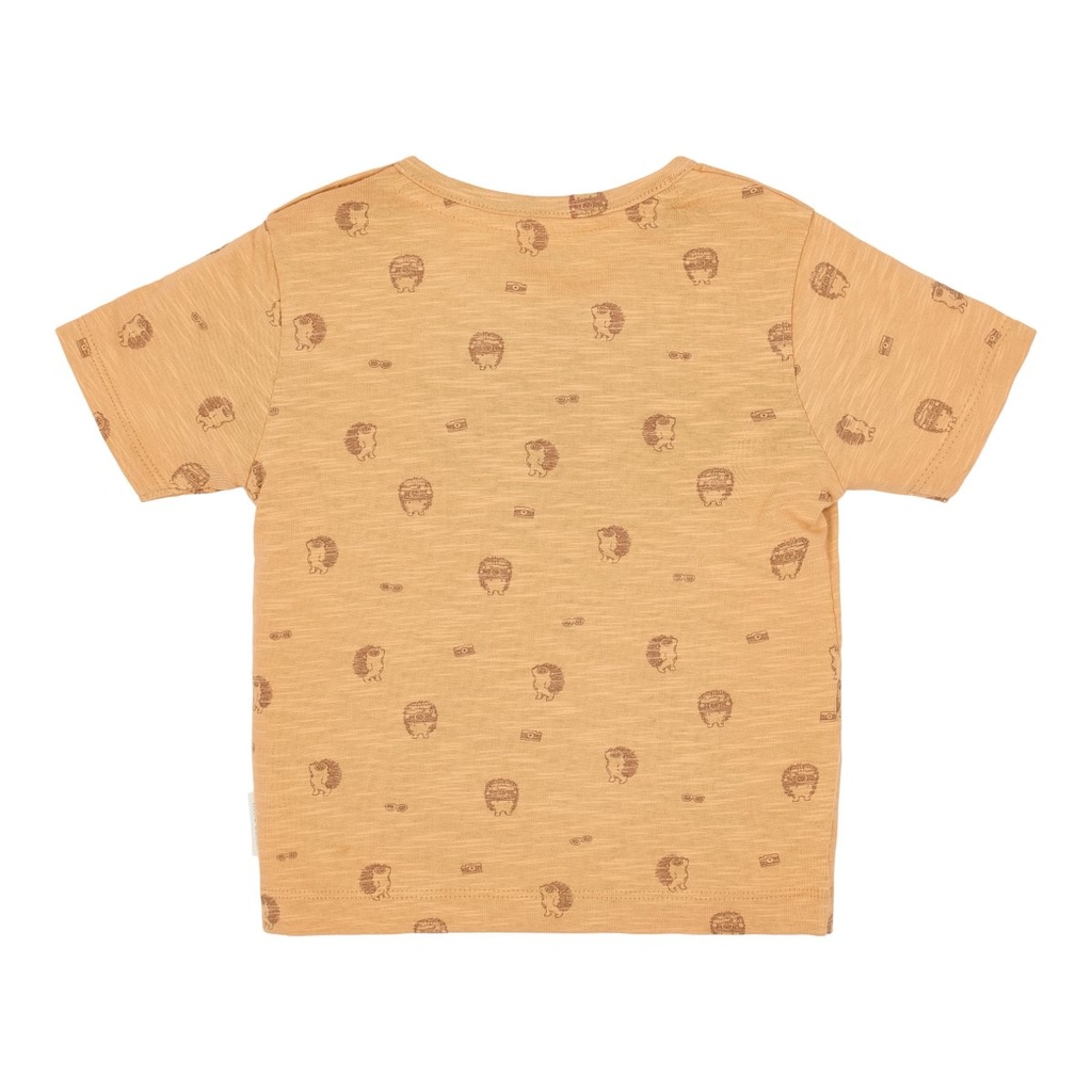Little Dutch | T-shirt Boys Rust