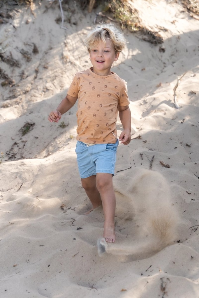 Little Dutch | T-shirt Boys Rust