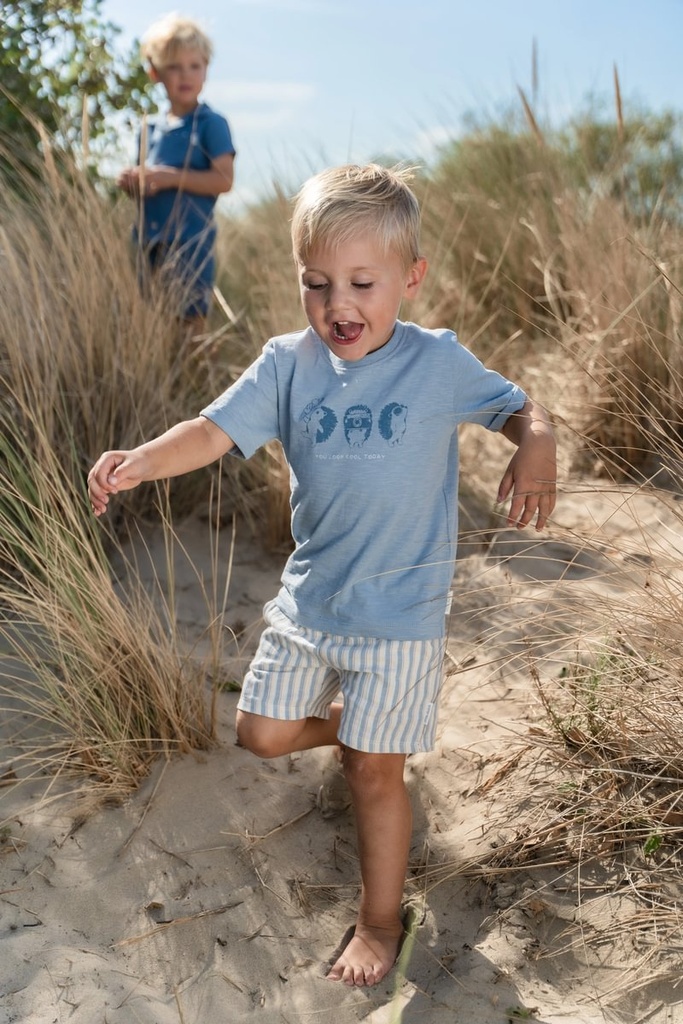 Little Dutch | T-shirt Boys Steel Blue