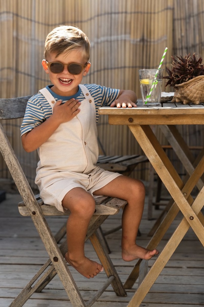 Little Dutch | T-shirt Boys Stripes Indigo Sand
