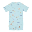 Little Dutch | Zwempak Boys Ocean Friends