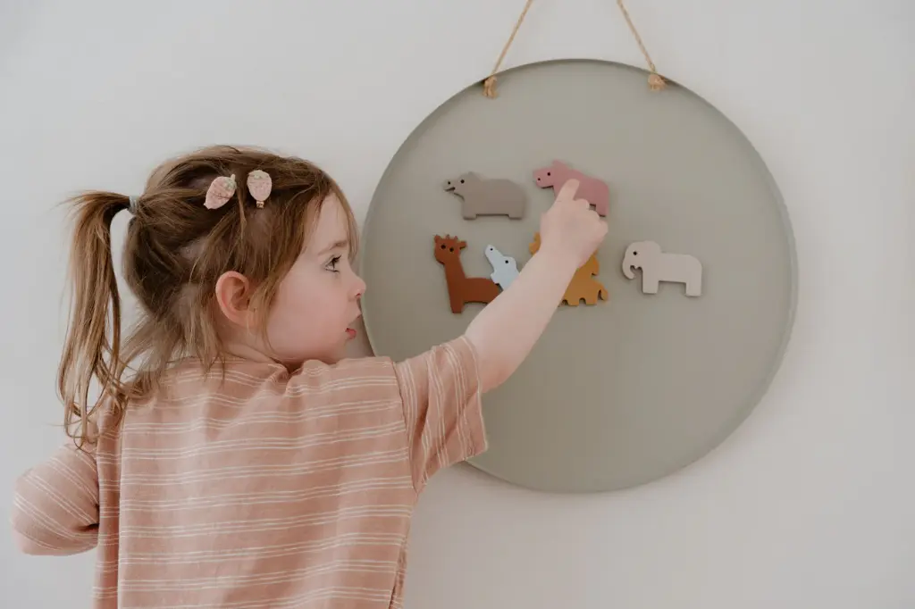 Moes Play | Educatief Speelgoed Magnetic Safari Animals