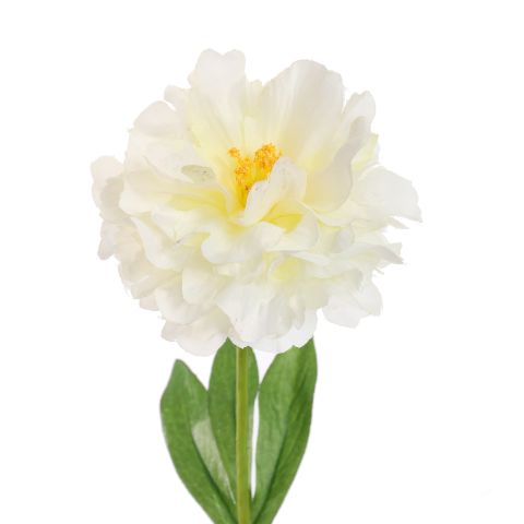 Jasaco | Sierbloem Peony Cream 65cm