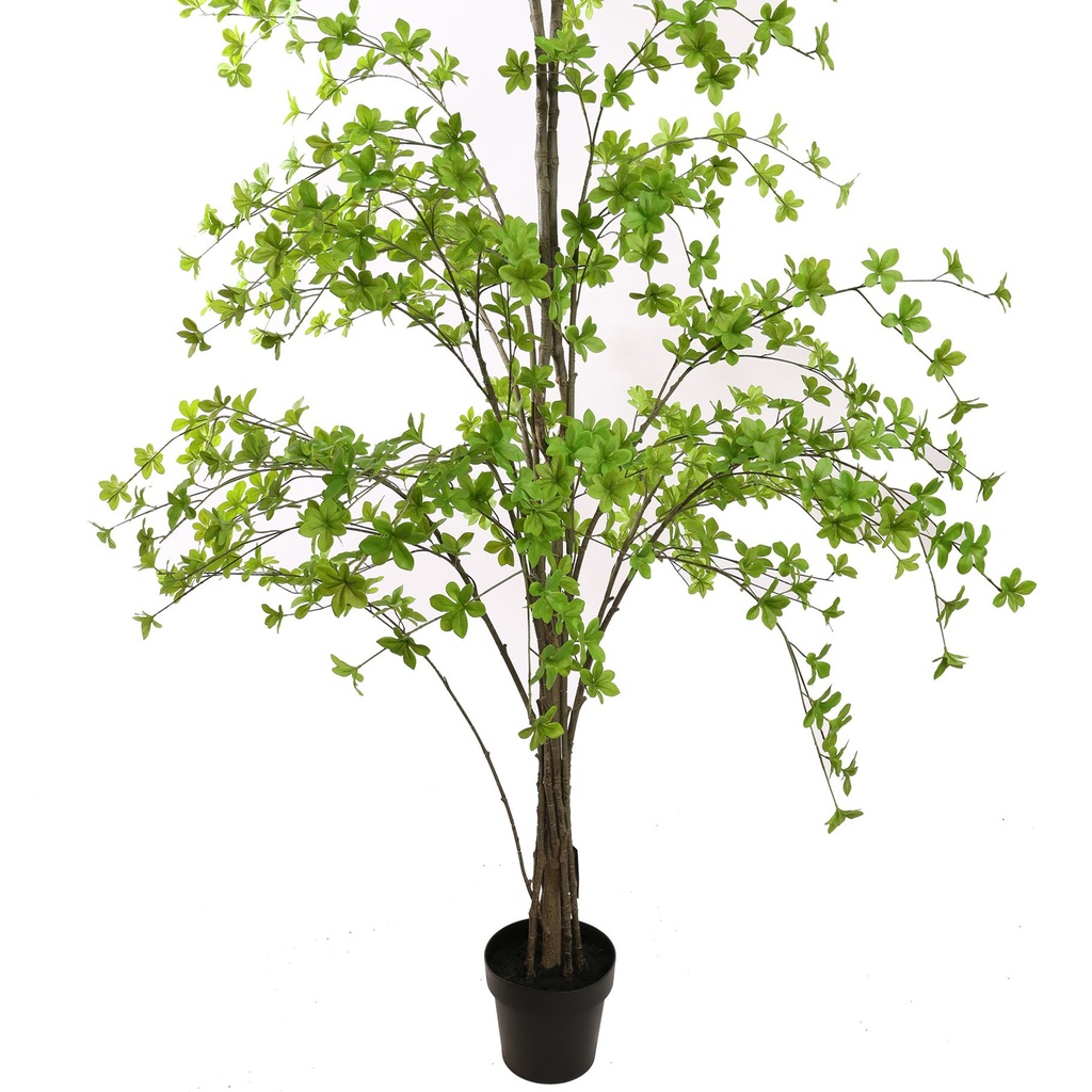 Jasaco | Sierplant Japanse Zen Tree Green 250cm