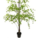 Jasaco | Sierplant Japanse Zen Tree Green 250cm