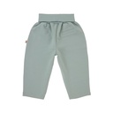 Laessig | Broek Granite Green