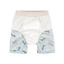 Laessig | Zwemshort Ice Cream Truck Illusion Blue