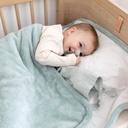 Bemini | Deken Camping Bag Softy 3.0TOG 