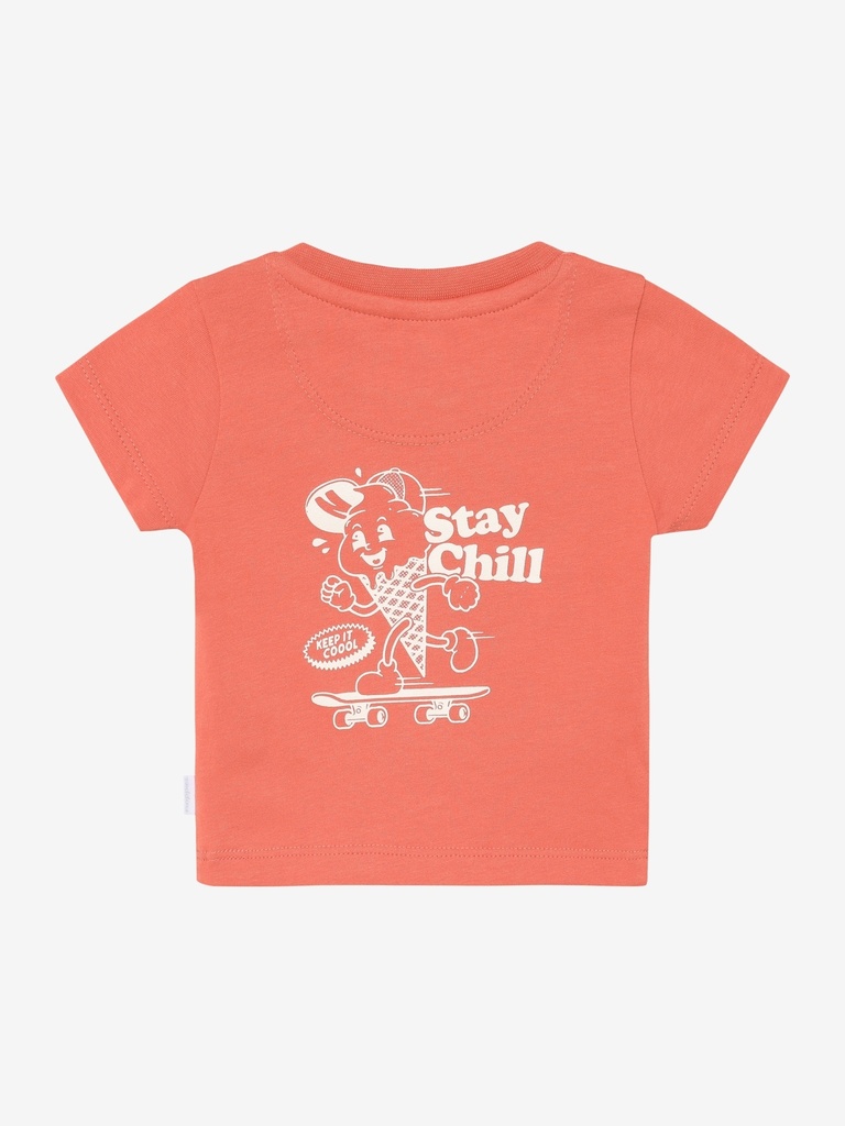 Noppies | T-shirt Boys Gray Blue