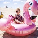 Swim Essentials | Luchtmatras Flamingo Dreamscape Roze/Goud XXL