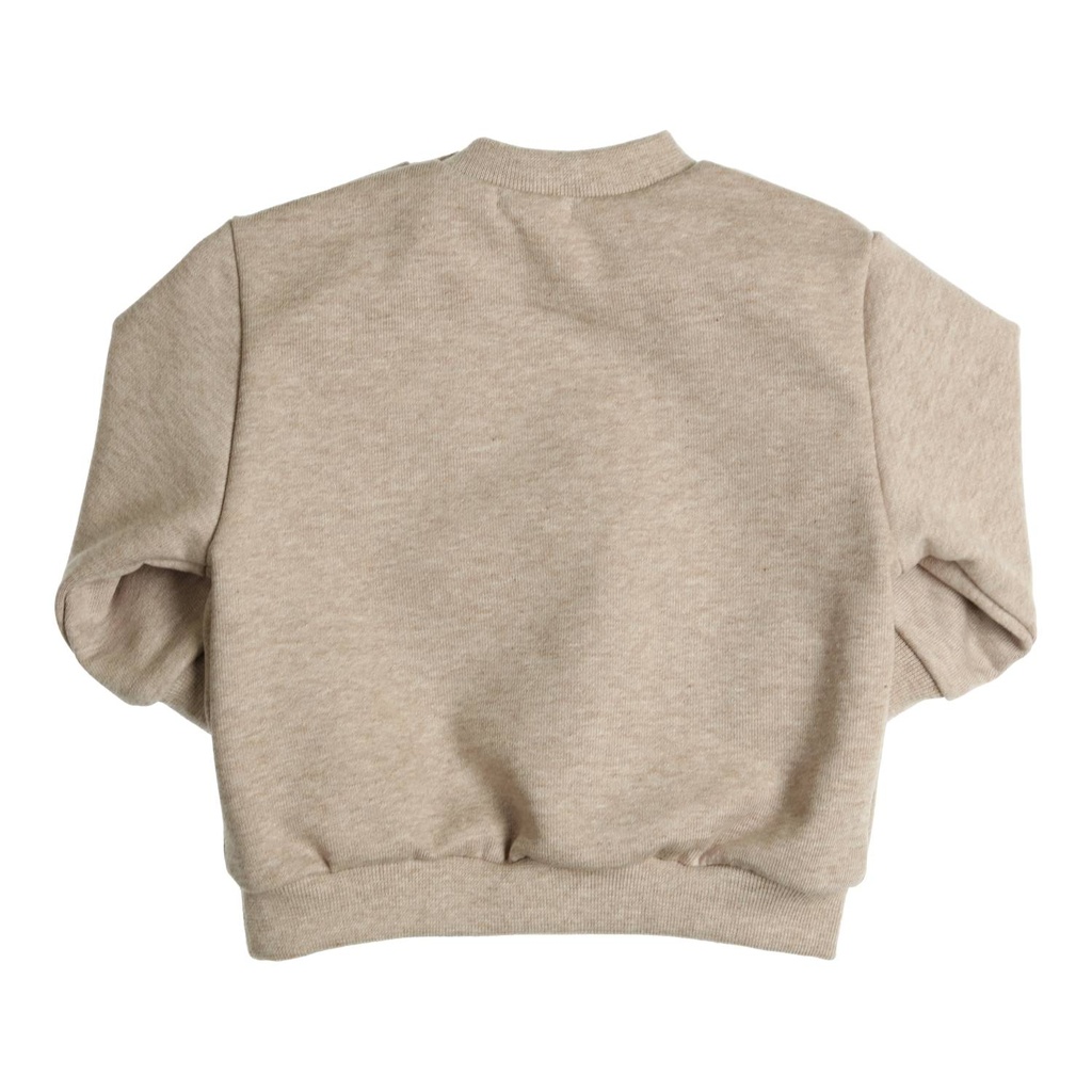 Gymp | Sweater Boys Hibbo Beige 