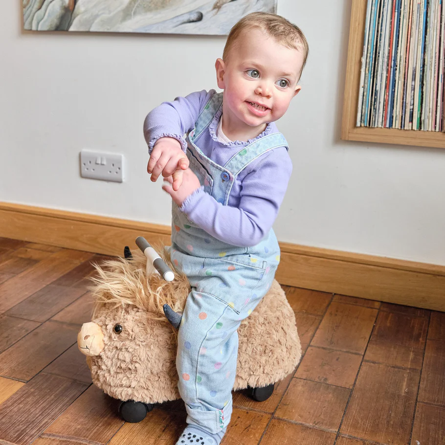 Prince Lionheart | Springfiguur Hairies Scotch The Highland Cow Opblaasbaar.