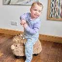 Prince Lionheart | Springfiguur Hairies Scotch The Highland Cow Opblaasbaar.