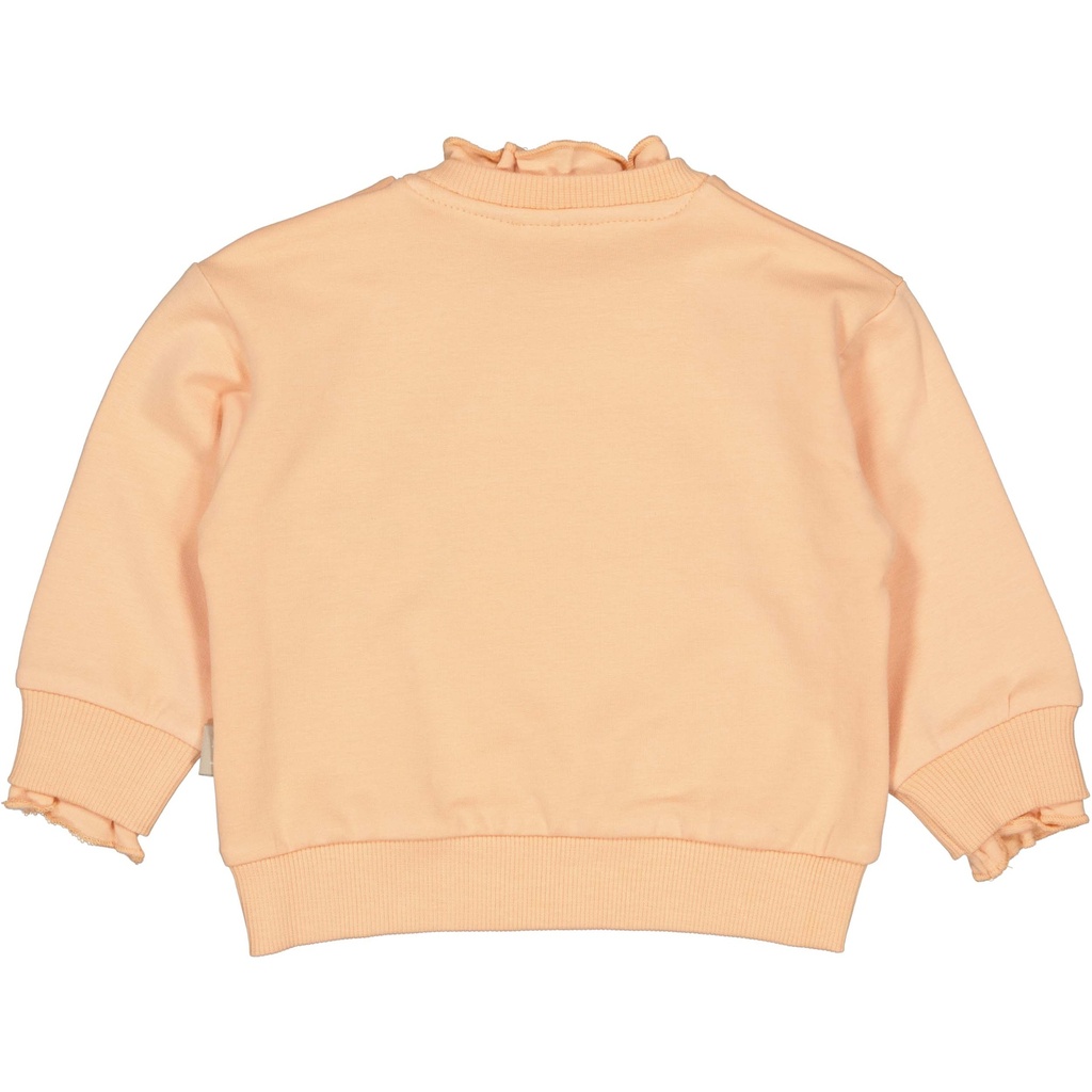 QPI | Sweater Boys Olsa Salmon